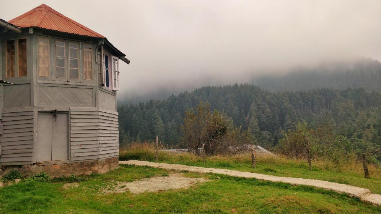 Black Bear Cottage Khajjiar Экстерьер фото